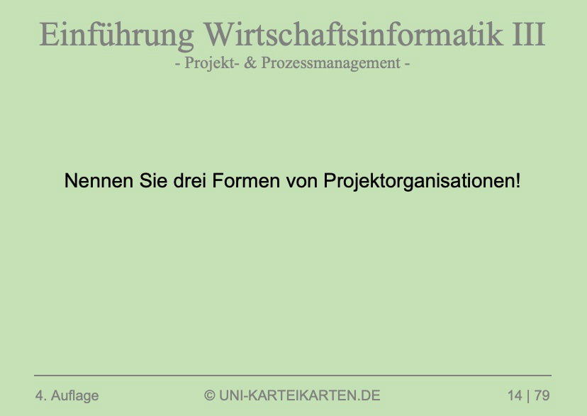 Einführung Wirtschaftsinformatik - Karteikarten-Set (Digital)