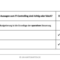 IT-Governance FernUni Hagen Karteikarte 2.4