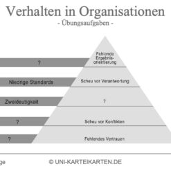 Verhalten in Organisationen FernUni Hagen Karteikarte 2.3