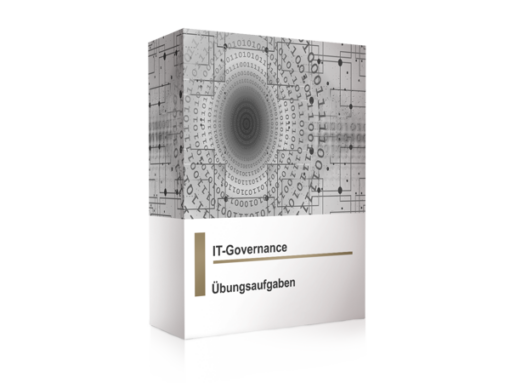 IT-Governance FernUni Hagen Karteikarten-Set Üben