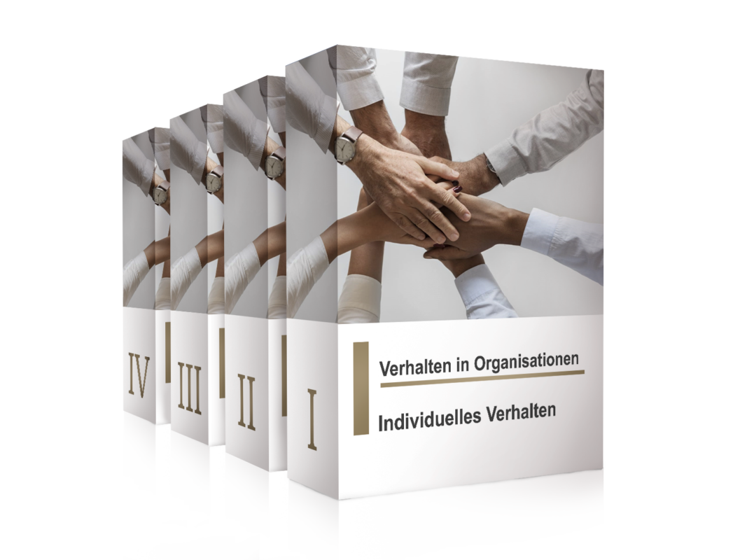 Verhalten in Organisationen FernUni Hagen Karteikarten-Set Lernen
