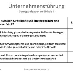 Unternehmensführung FernUni Hagen Karteikarte 2.1
